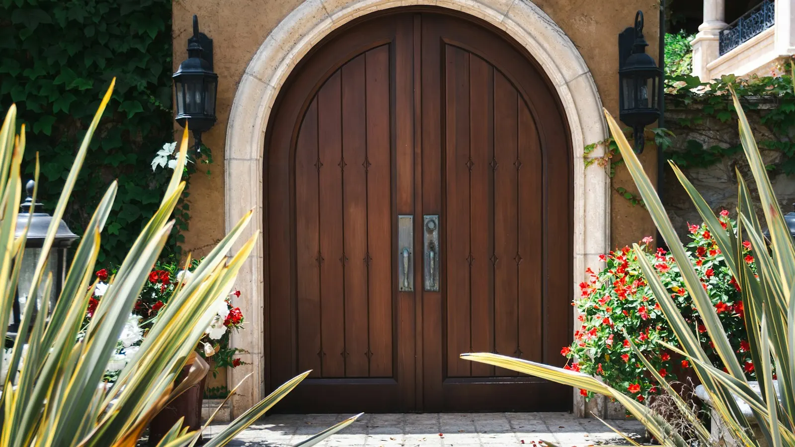 Arched wooden front door of a stucco home with desert plants
